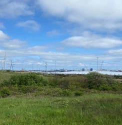 Det grønne område som det ser ud i dag med elmaster og vindmøller i baggrunden. 